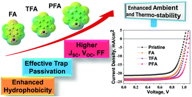 Graphical abstract: Fluoroarene derivative based passivation of perovskite solar cells exhibiting excellent ambient and thermo-stability achieving efficiency >20%