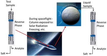 Graphical abstract: Solid phase extraction on reverse phase chromatographic media subjected to stresses expected for extraterrestrial implementation