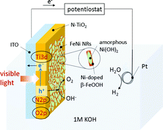Graphical abstract: Ni-modified β-FeOOH nanorod cocatalysts for oxygen evolution utilising photoexcited holes on a N 2p level in a N-doped TiO2 electrode