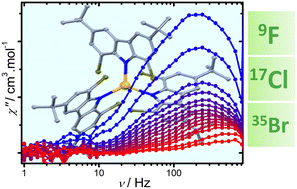 Graphical abstract: Effect on the geometry over the slow relaxation of the magnetization in a series of erbium(iii) complexes based on halogenated ligands
