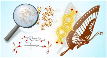 Graphical abstract: On the role of torsional dynamics in the solid-state fluorescent properties of a new bifluorene–tetracarboxylic acid and its supramolecular assemblies: a structural and TD-DFT investigation