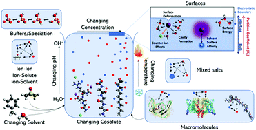 Graphical abstract: Understanding specific ion effects and the Hofmeister series