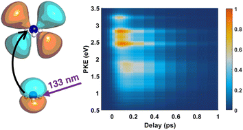 Graphical abstract: The ultrafast vibronic dynamics of ammonia's  [[D with combining tilde]]  state