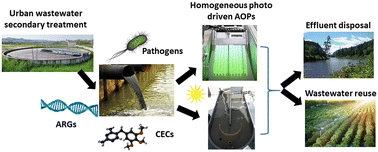 Graphical abstract: Addressing main challenges in the tertiary treatment of urban wastewater: are homogeneous photodriven AOPs the answer?