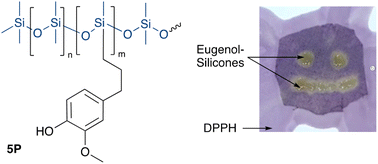 Graphical abstract: Antioxidant silicone oils from natural antioxidants