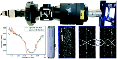 Graphical abstract: Optical feedback control loop for the precise and robust acoustic focusing of cells, micro- and nanoparticles