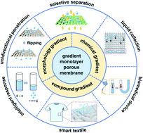 Graphical abstract: Gradient monolayered porous membrane for liquid manipulation: from fabrication to application