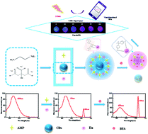Graphical abstract: A portable visual coffee ring based on carbon dot sensitized lanthanide complex coordination to detect bisphenol A in water