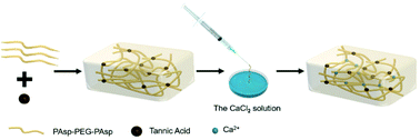 Graphical abstract: Dual crosslinking hydrogels with tunable injectability and stability for bone repair