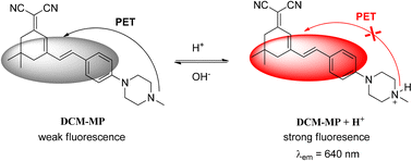 Graphical abstract: A water-soluble fluorescent pH probe and its application for monitoring lysosomal pH changes in living cells