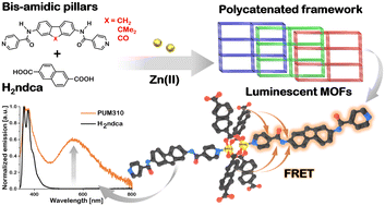 Graphical abstract: Luminescence properties of mixed-ligand MOFs containing fluorene scaffolds functionalized with isonicotinoyl arms