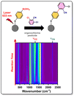 Graphical abstract: SERS-based detection of an organochlorine pesticide through surface plasmon-induced C–C coupling