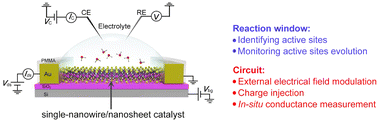 Graphical abstract: Emerging on-chip microcells in electrocatalysis: functions of window and circuit