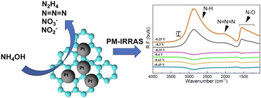 Graphical abstract: Unveiling the particle size effect and surface reactivity of Pt/C nanoparticles for ammonia electrooxidation using in situ infrared spectroscopy