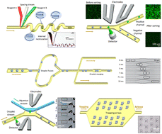 Graphical abstract: Development and future of droplet microfluidics