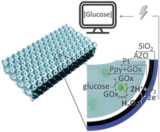 Graphical abstract: Nature-inspired functional porous materials for low-concentration biomarker detection
