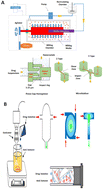 Graphical abstract: A SWOT analysis of nano co-crystals in drug delivery: present outlook and future perspectives