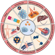 Graphical abstract: Nanomedicine-induced cell pyroptosis to enhance antitumor immunotherapy