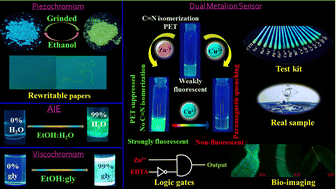 Graphical abstract: A multifunctional coumarin-based probe for distinguishable detection of Cu2+ and Zn2+: its piezochromic, viscochromic and AIE behavior with real sample analysis and bio-imaging applications