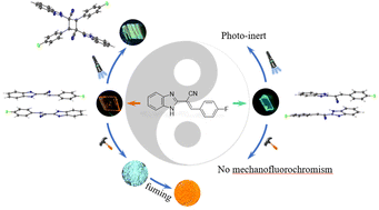Graphical abstract: Polymorphism manipulating topo-photochemical reactions, photoactuation, and the mechanofluorochromism of benzimidazoleylaryl acrylonitriles