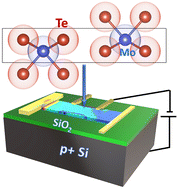 Graphical abstract: Electrostatic modulation of thermoelectric transport properties of 2H-MoTe2