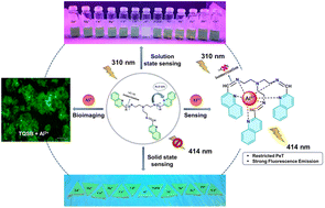 Graphical abstract: Turn-on detection of Al3+ ions using quinoline-based tripodal probe: mechanistic investigation and live cell imaging applications