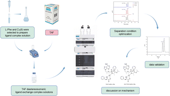 Graphical abstract: Splitting and separation mechanism of tenofovir alafenamide fumarate chiral isomers based on indirect chiral ligand exchange chromatography