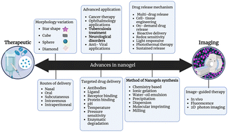 Graphical abstract: Recent advances in nanogels for drug delivery and biomedical applications