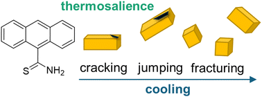 Graphical abstract: Off-the-shelf thermosalience of anthracene-9-thiocarboxamide