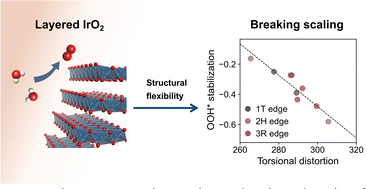 Graphical abstract: Theoretical insights into layered IrO2 for the oxygen evolution reaction