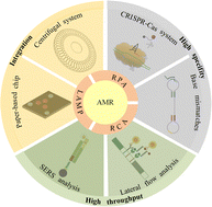Graphical abstract: Surveillance of antimicrobial resistance using isothermal amplification: a review