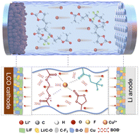 Graphical abstract: Dual additives enabling high-performance solid polymer electrolytes for stable cycling of lithium metal batteries