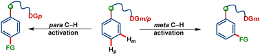 Graphical abstract: Palladium catalyzed regioselective distal C (sp2)–H functionalization