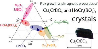 Graphical abstract: Study of flux growth of Cr-containing borates and oxyborates under the conditions of low Cr2O3 solubility