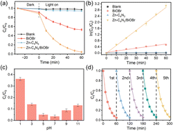 Graphical abstract: Zinc-doped C4N3/BiOBr S-scheme heterostructured hollow spheres for efficient photocatalytic degradation of tetracycline