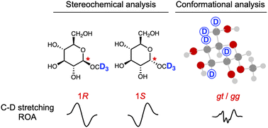 Graphical abstract: Raman optical activity study of deuterated sugars: deuterium labelling as a tool for structural analysis