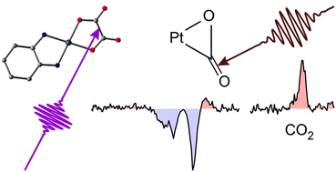 Graphical abstract: Photoinduced formation of a platina-α-lactone – a carbon dioxide complex of platinum. Insights from femtosecond mid-infrared spectroscopy