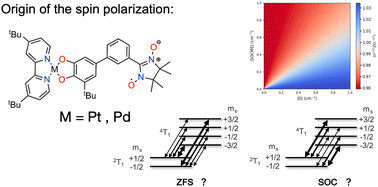 Graphical abstract: Exploring the origin of electron spin polarization in metal-containing chromophore–radical systems via multireference calculations