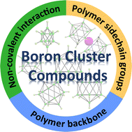 Graphical abstract: Boron cluster leveraged polymeric building blocks