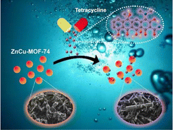 Graphical abstract: Room-temperature synthesis of bimetallic ZnCu-MOF-74 as an adsorbent for tetracycline removal from an aqueous solution