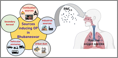 Graphical abstract: Vehicular pollution as the primary source of oxidative potential of PM2.5 in Bhubaneswar, a non-attainment city in eastern India