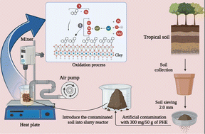 Graphical abstract: A sustainable method for oxidizing phenanthrene in tropical soil using natural iron as a catalyst in a slurry phase reactor with persulfate assistance