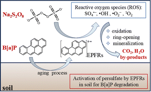 Graphical abstract: Key role of persistent free radicals in soil for persulfate activation: impacts on benzo[a]pyrene degradation