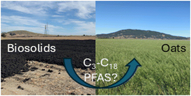 Graphical abstract: Uptake of per- and polyfluorinated alkyl substances by dry farmed oats following the agricultural application of biosolids and compost