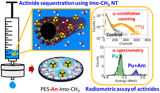 Graphical abstract: Unlocking actinide pre-concentration potential and unique α-scintillation properties of an inorganic nanotube–polyethersulfone membrane composite: a viable sensing platform for environmental nuclear forensics