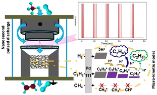 Graphical abstract: Selective catalytic hydrogenation of C2H2 from plasma-driven CH4 coupling without extra heat: mechanistic insights from micro-kinetic modelling and reactor performance