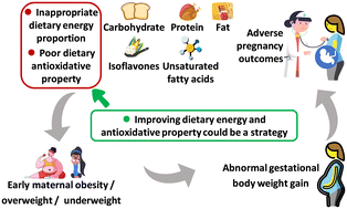 Graphical abstract: Improving dietary energy and antioxidative properties benefit early maternal BMI and further manage adverse pregnancy outcomes with better weight gain