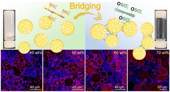 Graphical abstract: Interactions, properties and lipid digestibility of attractive Pickering emulgels formed by sequential addition of oppositely charged nanopolysaccharides