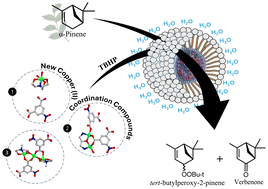 Graphical abstract: Adding value to terpenes: copper-catalyzed oxidation of α-pinene in water under micellar conditions