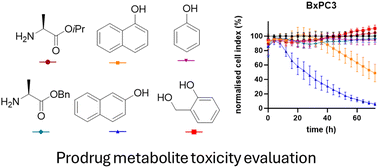 Graphical abstract: Cytotoxicity of phosphoramidate, bis-amidate and cycloSal prodrug metabolites against tumour and normal cells
